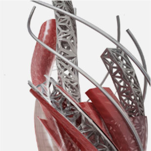 Product's picture